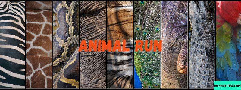 animal run