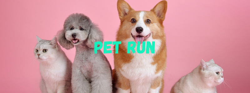 pet fun run
