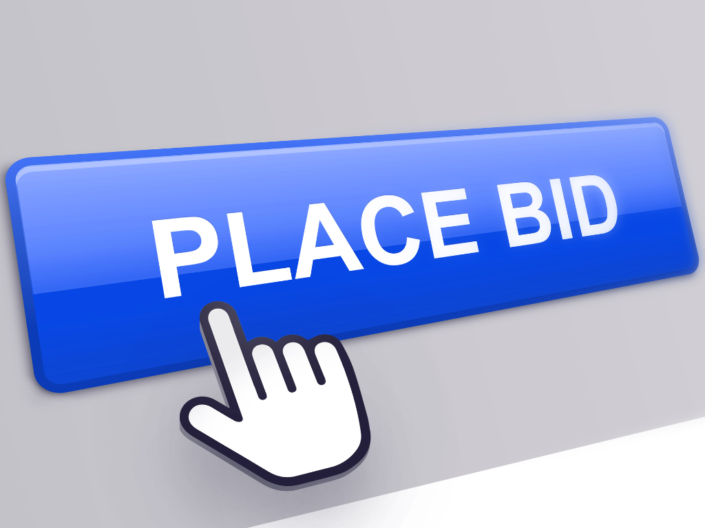 place bid for silent auction