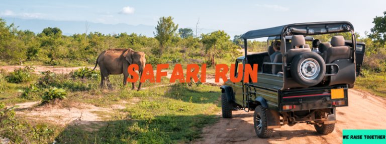 Fun Run Fundraiser Ideas | 24 Best Walkathon & 5k Themes
