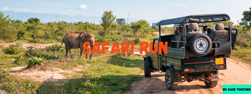 safari run
